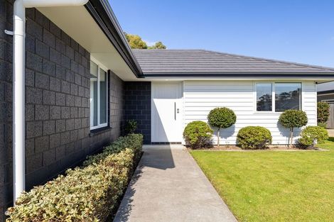 Photo of property in 29 Monarch Drive, Ashhurst, 4810