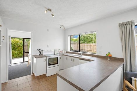 Photo of property in 25 Septimus Place, Henderson, Auckland, 0612