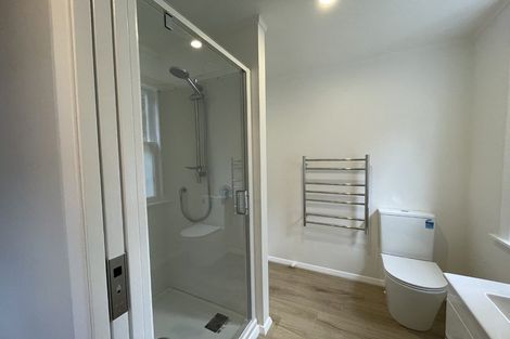 Photo of property in 98 Rolleston Street, Mount Cook, Wellington, 6021