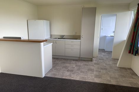 Photo of property in 115 Hornsey Road, Melrose, Wellington, 6023