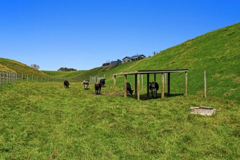 Photo of property in 106b Awanuiarangi Road, Pikowai, Whakatane, 3194