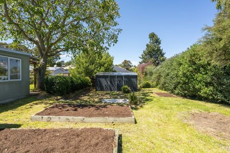 Photo of property in 33 Hinekura Avenue, Taupo, 3330