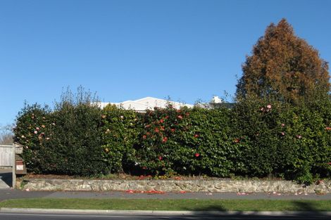 Photo of property in 112a Naylor Street, Hamilton East, Hamilton, 3216