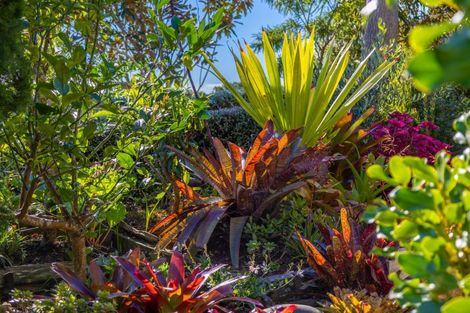 Photo of property in 41a Kotare Street, Waikanae, 5036