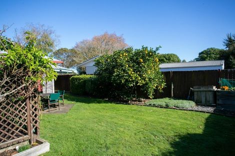 Photo of property in 207 Lamb Street, Leamington, Cambridge, 3432