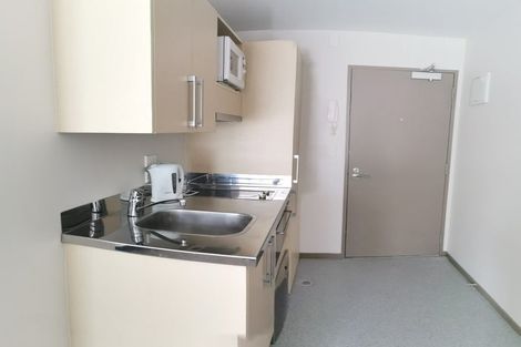 Photo of property in Dual Apartments, 108/142u Vivian Street, Te Aro, Wellington, 6011