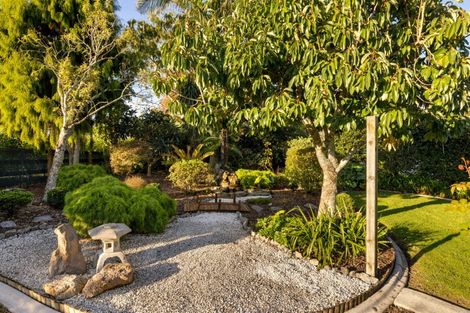 Photo of property in 16r Elder Lane, Bethlehem, Tauranga, 3110