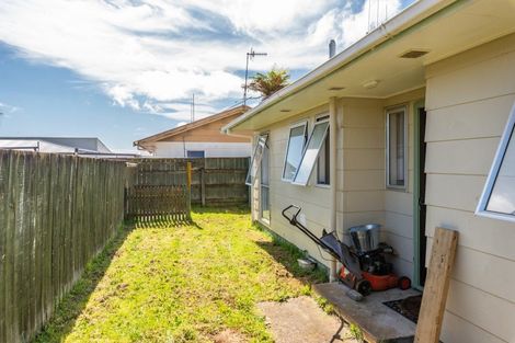Photo of property in 179 Tiro Tiro Road, Levin, 5510