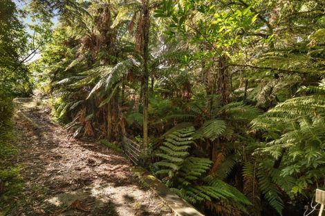 Photo of property in 542 Waitekauri Road, Waikino, Waihi, 3682