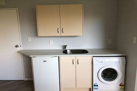 Photo of property in 91e Lake Domain Drive, Frankton, Hamilton, 3204