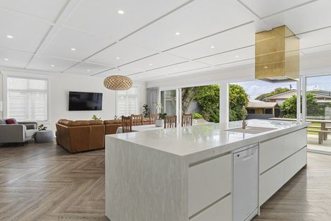 Photo of property in 33 Ballance Street, Lower Vogeltown, New Plymouth, 4310