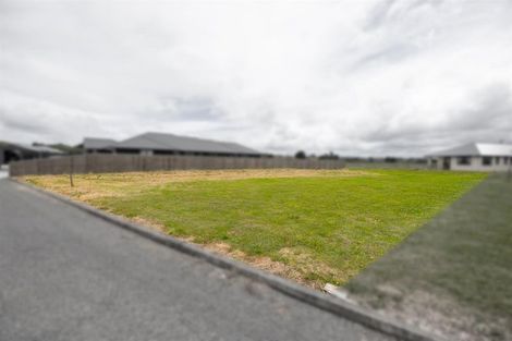 Photo of property in 38 George Street, Bulls, 4818