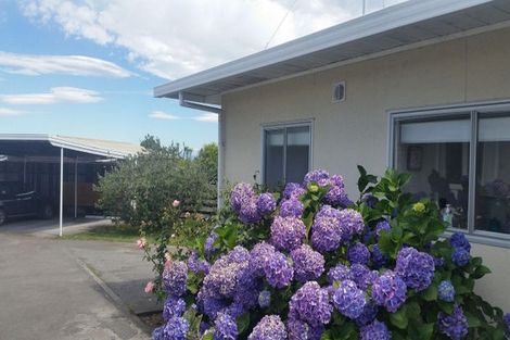 Photo of property in 13 Carl Avenue, Havelock North, 4130