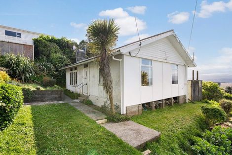 Photo of property in 32 Whaui Street, Vogeltown, Wellington, 6021