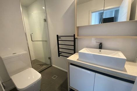 Photo of property in 34u4 Blackburn Street, Frankton, Hamilton, 3204