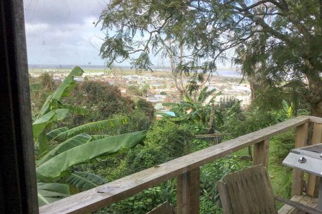 Photo of property in 119 Irishtown Road, Thames, 3500