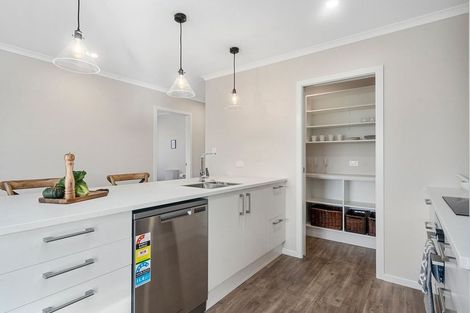 Photo of property in 68 Hinemoa Street, Levin, 5510