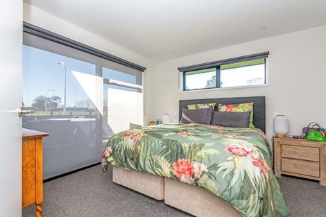 Photo of property in 20 Turoa Street, Feilding, 4702