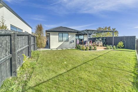 Photo of property in 20 Colt Place, Wigram, Christchurch, 8025