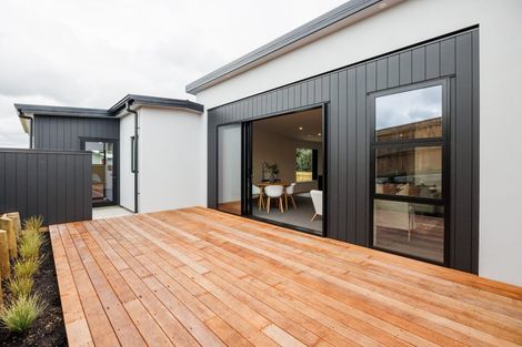 Photo of property in 47 Ashford Avenue, Hokowhitu, Palmerston North, 4410