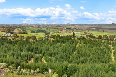 Photo of property in 80 Cameron Town Road, Pukekohe, 2678