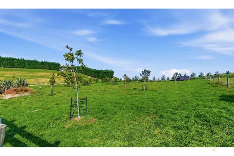Photo of property in 164 Esler Road, Sutherlands, Pleasant Point, 7983