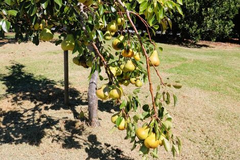 Photo of property in 29 North Cove Lane, Waipu, 0582