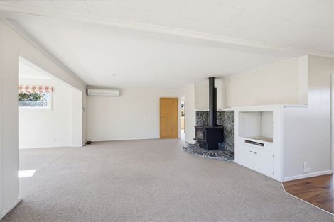 Photo of property in 24 Alington Street, Methven, 7730