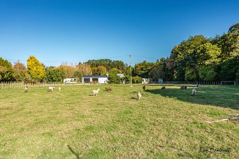 Photo of property in 15 Flemington Road, Aramoho, Whanganui, 4584