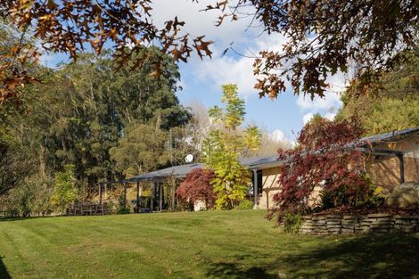 Photo of property in 213 Horahora Road, Piarere, Tirau, 3484