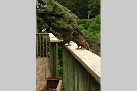 Photo of property in 10 Mairangi Road, Wadestown, Wellington, 6012