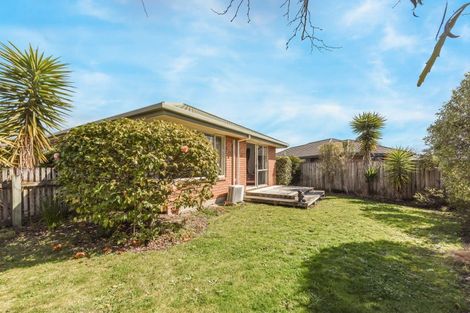 Photo of property in 55 Arbor-lea Avenue, Richmond, 7020