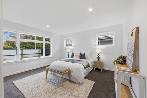 Photo of property in 45 Coopers Road, Dallington, Christchurch, 8061
