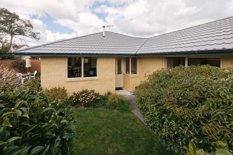 Photo of property in 19a Anglesey Place, Awapuni, Palmerston North, 4412