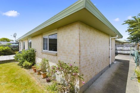 Photo of property in 61b Winchester Street, Levin, 5510
