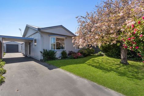 Photo of property in 1/91 Saint Martins Road, Saint Martins, Christchurch, 8022