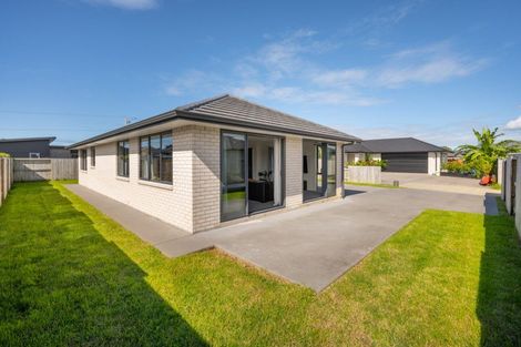 Photo of property in 22 Tiaki Rise, Tikipunga, Whangarei, 0112