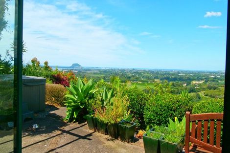 Photo of property in 23 Dawn View Place, Minden, Tauranga, 3176