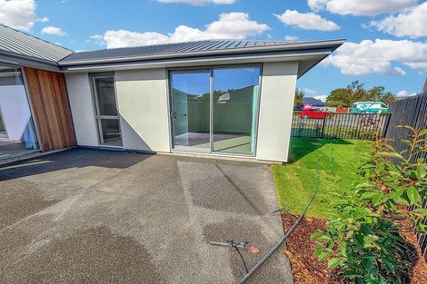 Photo of property in 38 Elizabeth Street, Rolleston, 7614