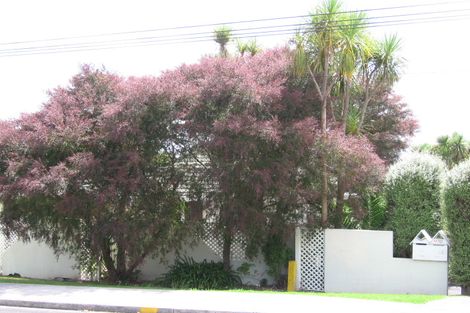 Photo of property in 2/41 Island Bay Road, Beach Haven, Auckland, 0626
