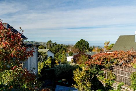 Photo of property in 36 Kilgour Street, Roslyn, Dunedin, 9010