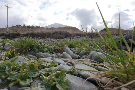 Photo of property in 23a Hythe Street, Athol, 9793