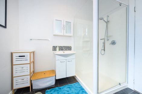 Photo of property in 351 Tremaine Avenue, Takaro, Palmerston North, 4412