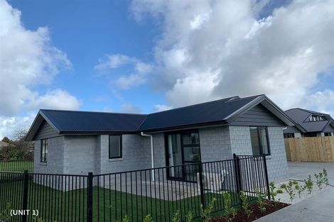 Photo of property in 23u4 Ross Crescent, Fairfield, Hamilton, 3214