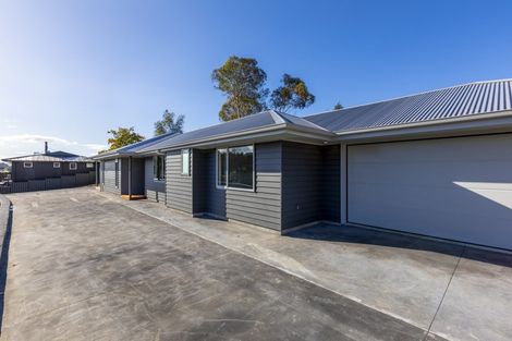 Photo of property in 45 Great North Road, Waipawa, 4210