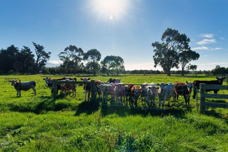 Photo of property in 386 Mount Fyffe Road, Kaikoura Flat, Kaikoura, 7371