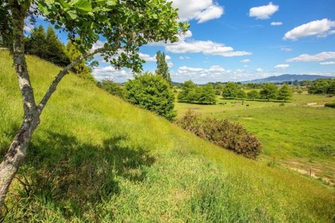 Photo of property in 66 Maungakawa Road, Cambridge, 3496