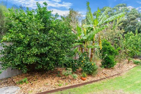Photo of property in 39 Pearson Street, Mangawhai, 0505