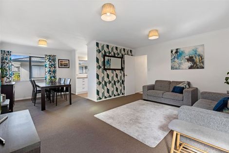 Photo of property in 24 Awaiti Place, Hairini, Tauranga, 3112