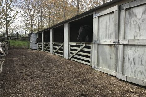 Photo of property in 73 Valerie Close, Warkworth, 0983